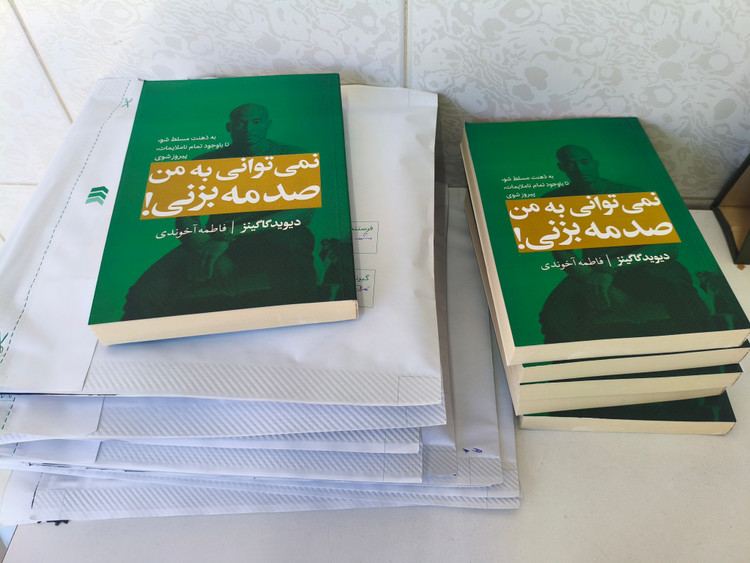 کتاب نمیتوانی به من صدمه بزنی | اثر دیوید گاگینز
