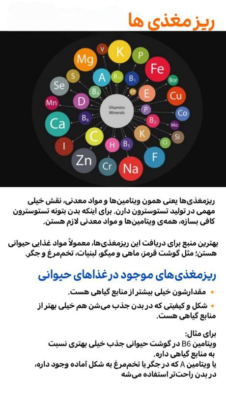 کتاب افزایش تستوسترون | صفر تا صد افزایش تستوسترون